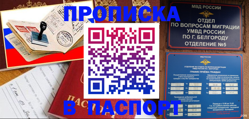 купить прописку в Ржеве